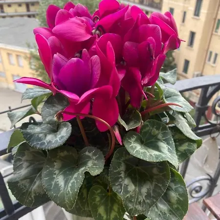 Small Terrace Flat - Fast Wifi- Netflix - Corvetto Metro Stop At 50 Mt - 15 Minutes To Duomo Center * Milão